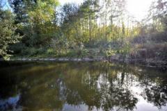 Claye-Souilly-Parc-du-Papillon-de-la-Pree Claye-Souilly-Parc-du-Papillon-de-la-Pree