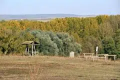 Parcours de santé jalonné d'agrès