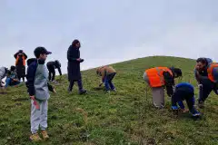Une action concrète au service de la nature et de l’engagement des élèves pour leur ville.