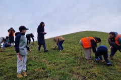 Une action concrète au service de la nature et de l’engagement des élèves pour leur ville. Une action concrète au service de la nature et de l’engagement des élèves pour leur ville.