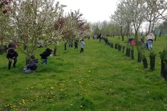 Mars- Plantation et chasse aux oeufs par les élèves de l'école de Villeneuve-sous-Dammartin