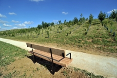 A park with benches for admiring tree species