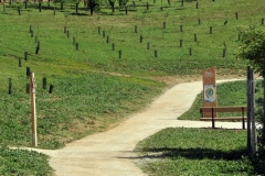 The Arboretum Park at Moissy-Cramayel (Seine-et-Marne) 