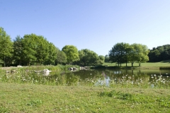 Parc de La Courneuve, Georges Valbon (93)