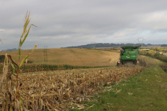 6 mois plus tard, la moisson peut débuter