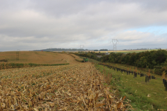 Par une journée d\'automne, dans les champs