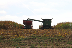 Le vrombissement de l\'ensileuse et du tracteur