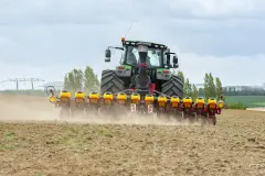 Semence sur la terre végétale