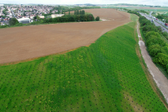 Remise à l'agriculture et plantation d'arbres