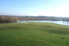 extension golf