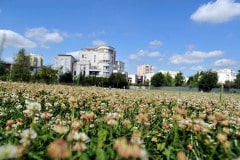 Mène au quartier de Stains