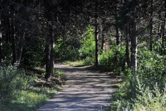 Depuis le Parc de la Courneuve, une coulée verte