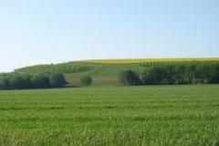 20100520-Villeneuve-sous-Dammartin-Exhaussement-agricole-©-ECT