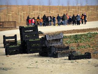 Merci aux élèves, aux directeurs, enseignants, accompagnants qui ont plantés plus de 1 500 godets