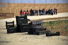 Merci aux élèves, aux directeurs, enseignants, accompagnants qui ont plantés plus de 1 500 godets