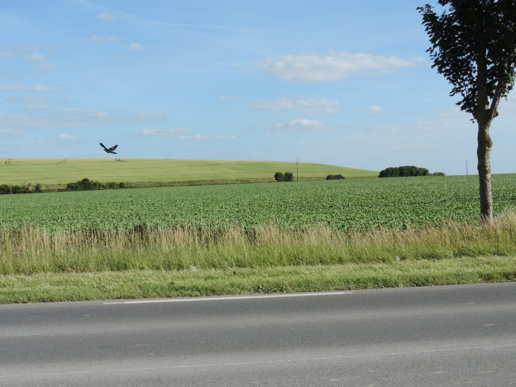 Exhaussement agricole par ECT à Villeneuve-sous-Dammartin.