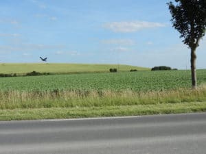 Exhaussement agricole par ECT à Villeneuve-sous-Dammartin.