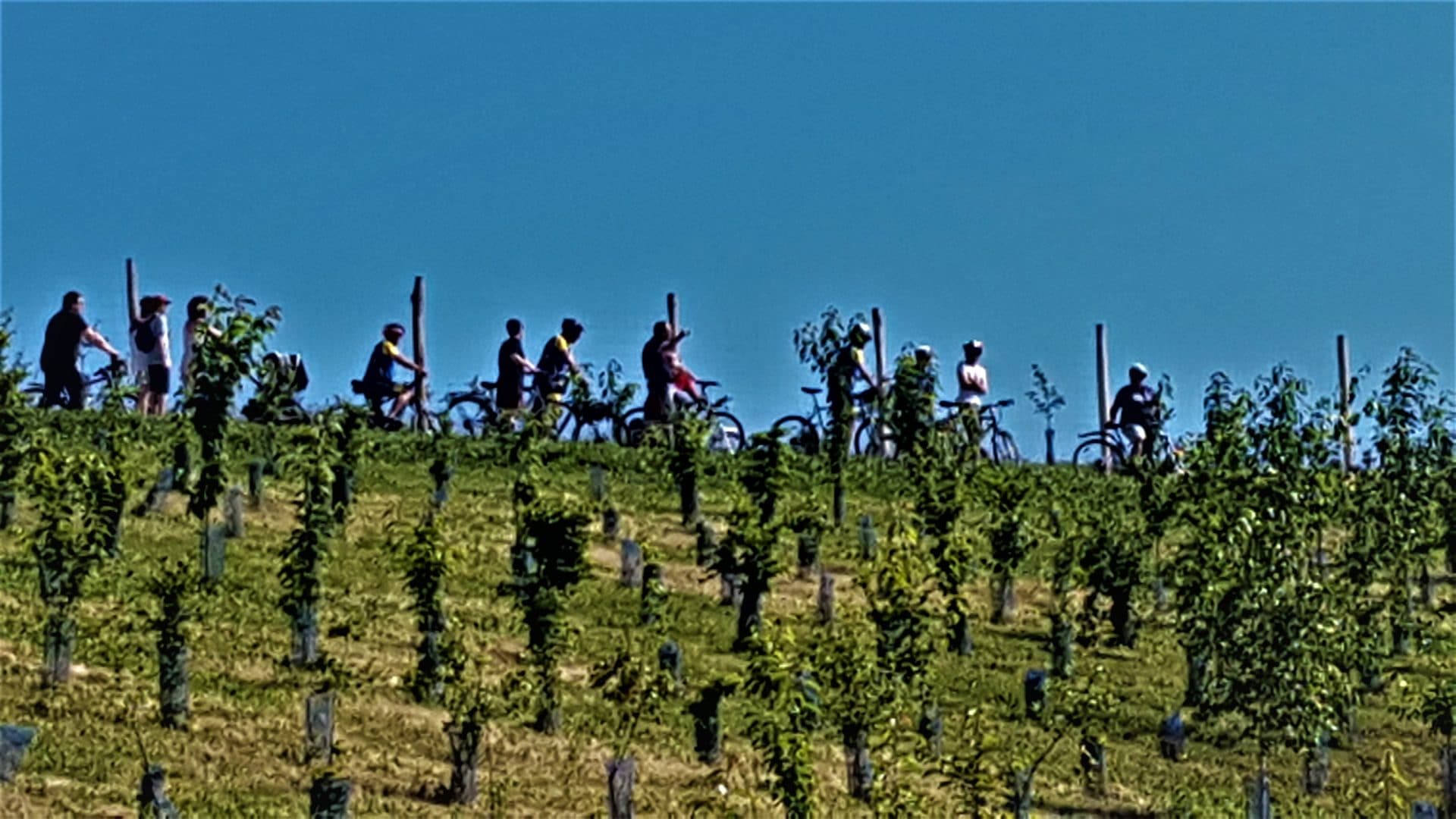 ECT - Cyclistes au Parc de l'arboretum à Moissy Cramayel