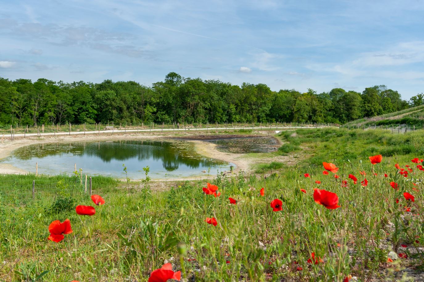 ClichysousBois (93), parc de la Fosse Maussoin Groupe ECT ClichysousBois (93), parc de la Fosse Maussoin Groupe ECT