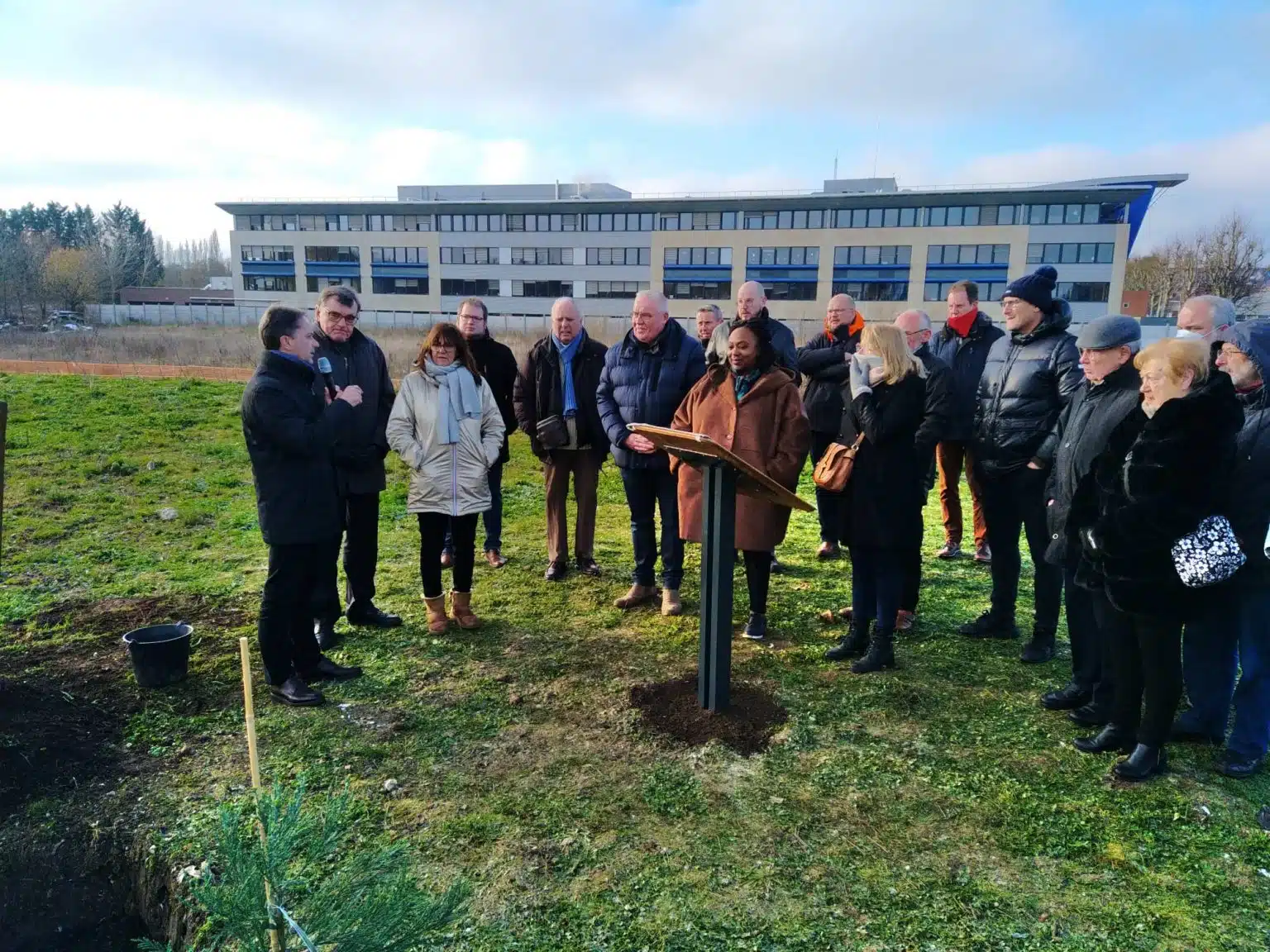 Lens - Plantation Sequoia - 1