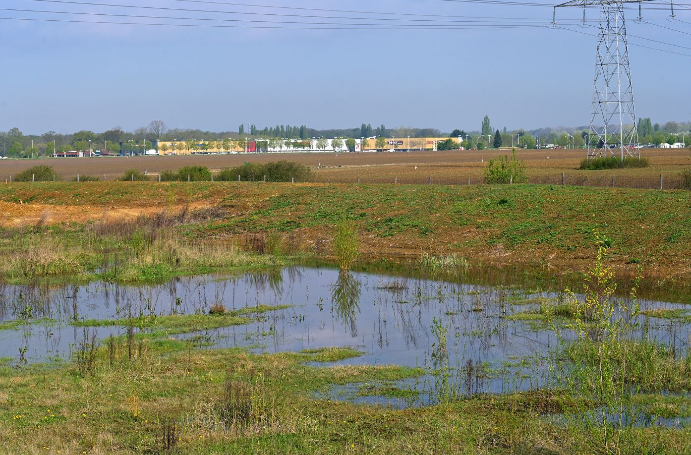 Roissy-en-Brie (77), découvrez la nouvelle zone écologique - ECT