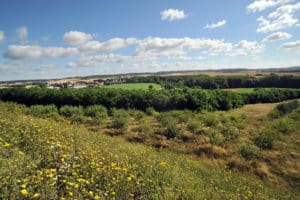 Vergers et agriculture sur le site ECT à Villeneuve sous Dammartin - Orchards and farming on the ECT site at Villeneuve sous Dammartin