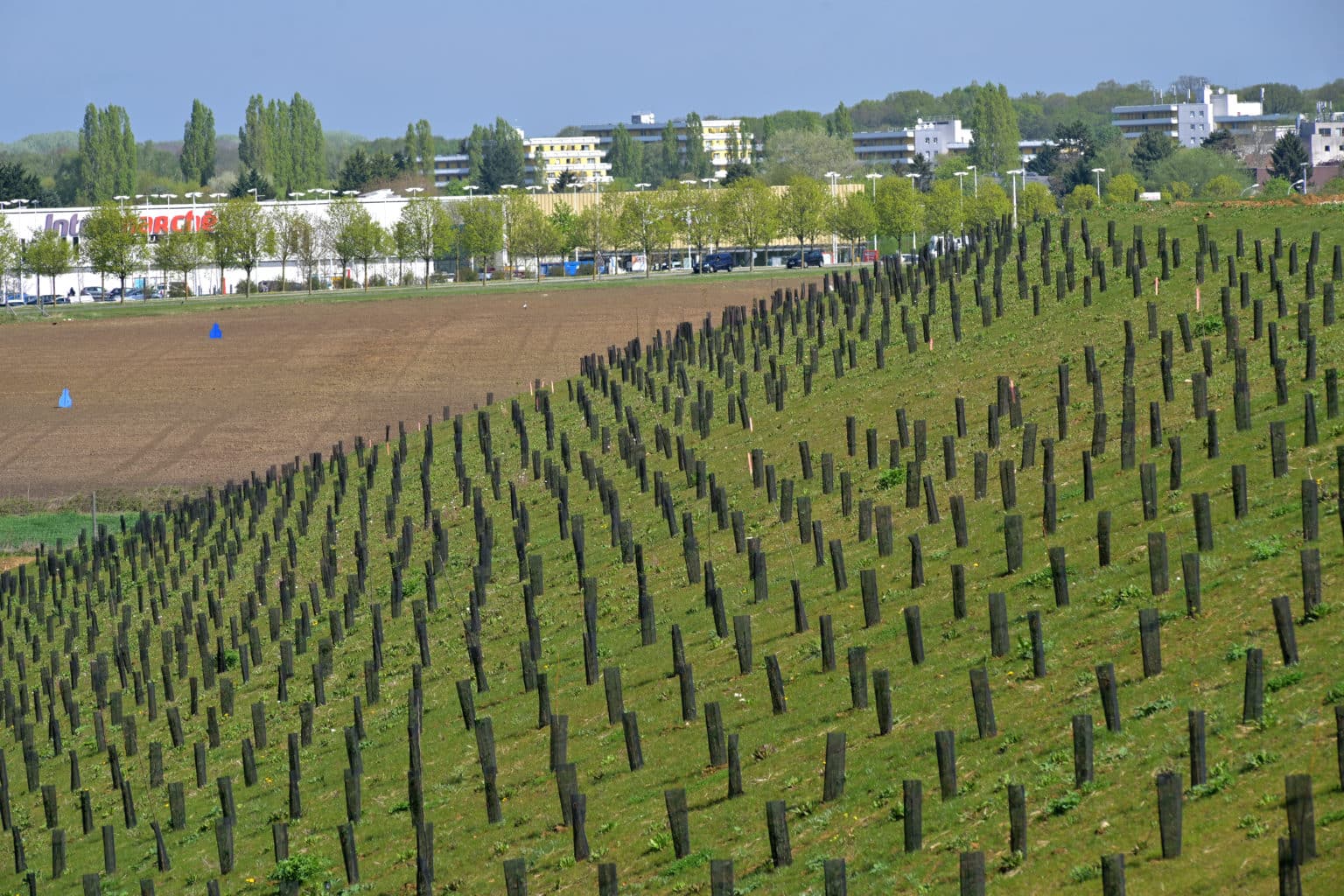 20220414- Roissy-en-Brie - site en exploitation ©Gil Fornet (127)