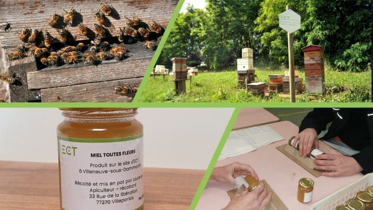Production miel sur le site ECT de villeneuve-sous-Dammartin (77)