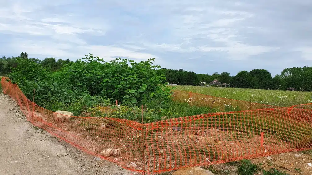 Boissy l'Aillerie délimitation des EEE - Boissy l'Aillerie delimitation of IAS