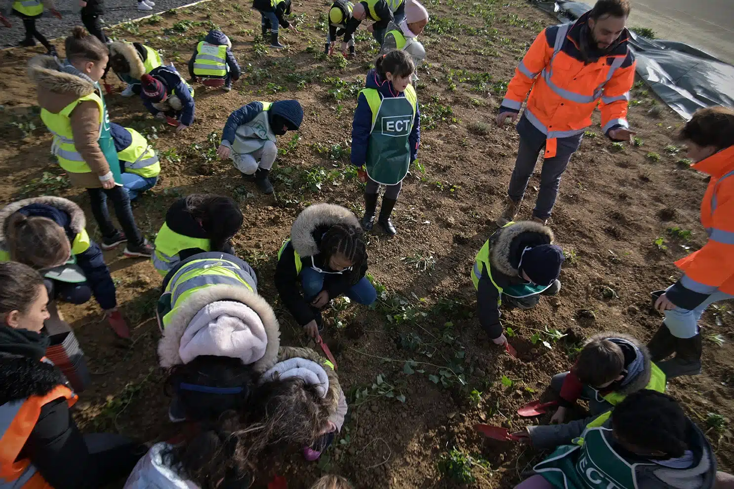 ECT Villeneuve sous Dammartin Plantations