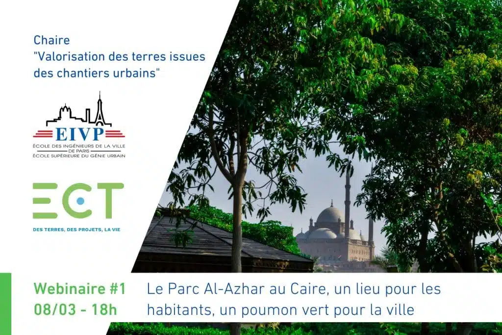 Affiche EIVp - Webinaire