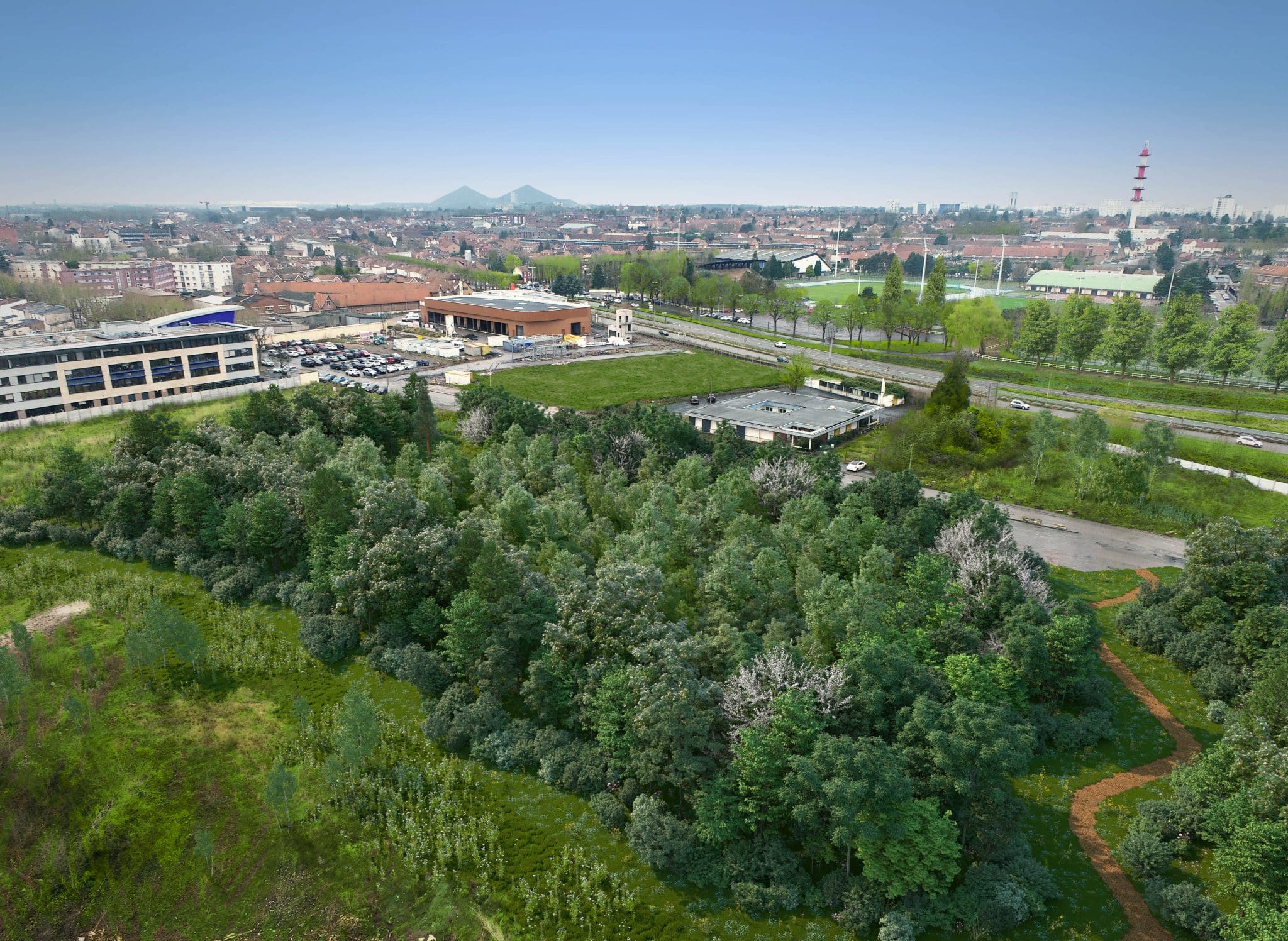 Insertion paysagère, forêt urbaine de Lens - ©Martin Maillardet