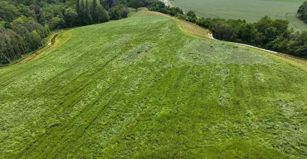 2023 - Site ECT Grisy-Suisnes - remise à l'agriculture