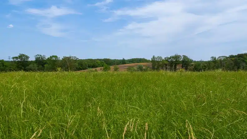 ECT Grisy-Suisnes - Fin des aménagements