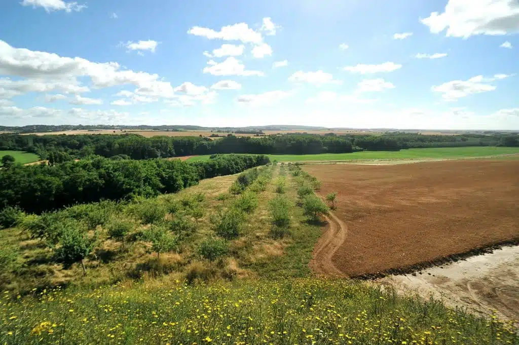 Site ECT Villeneuve-sous-Dammartin, partie biodiversité, les vergers