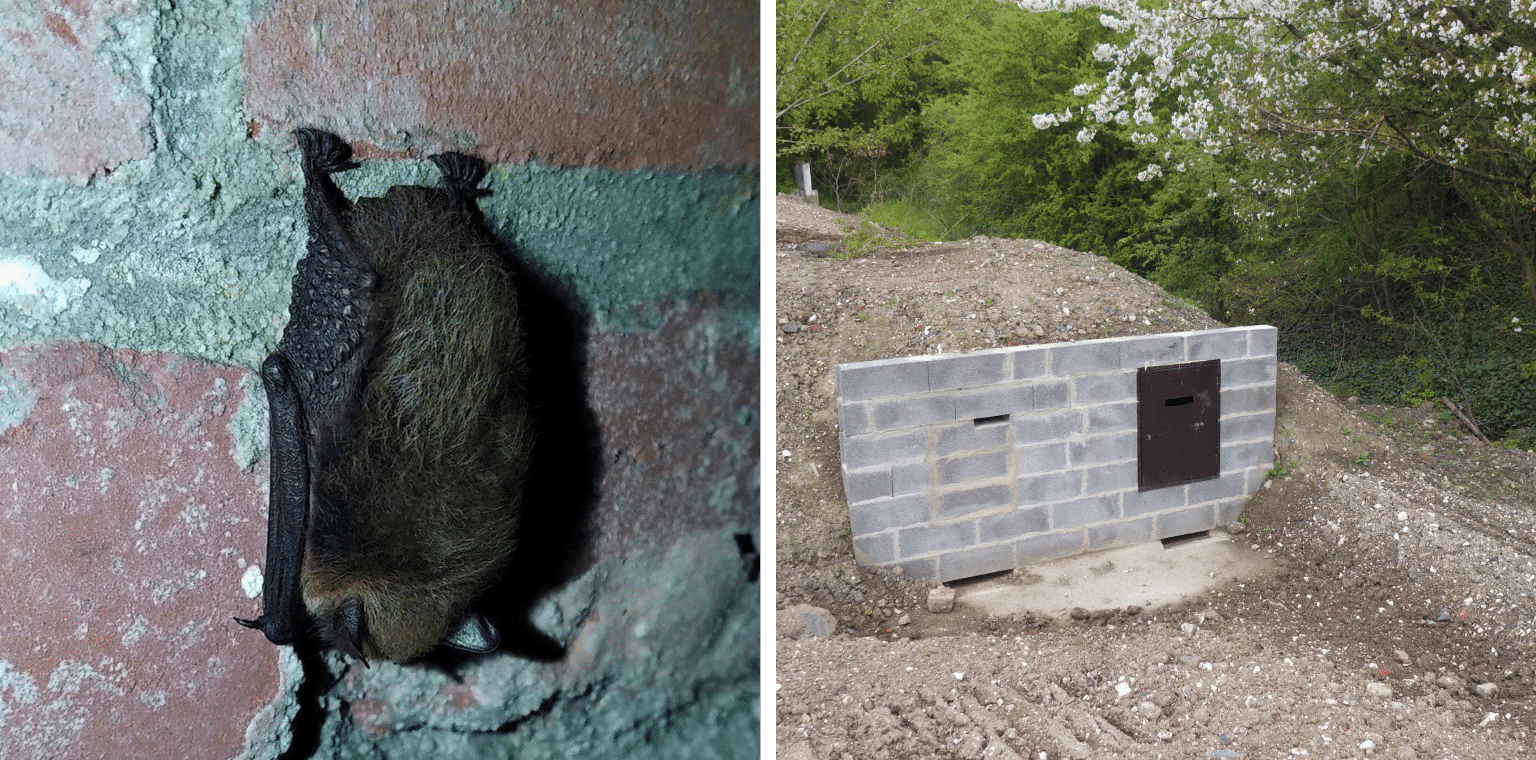 Maison Pour Chauves-souris Double Chambre En Bois - Abri Extérieur Durable - Installation Facile Par Suspension - Pour Jardin écologique