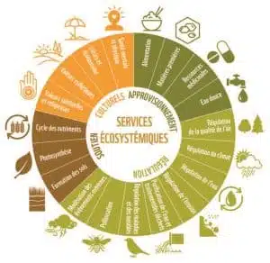 Services écosystémiques - Source WWF 2016