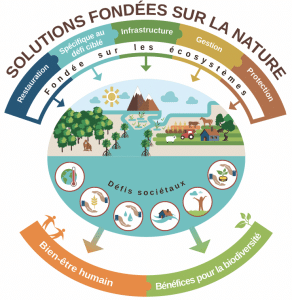 Solutions Fondées sur la Nature