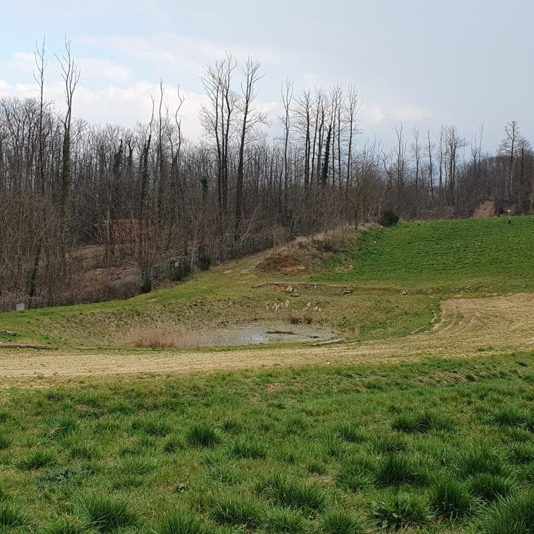 Cormeilles-en-Parisis, création de la mare