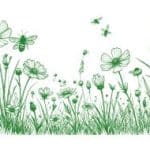 Picto nature