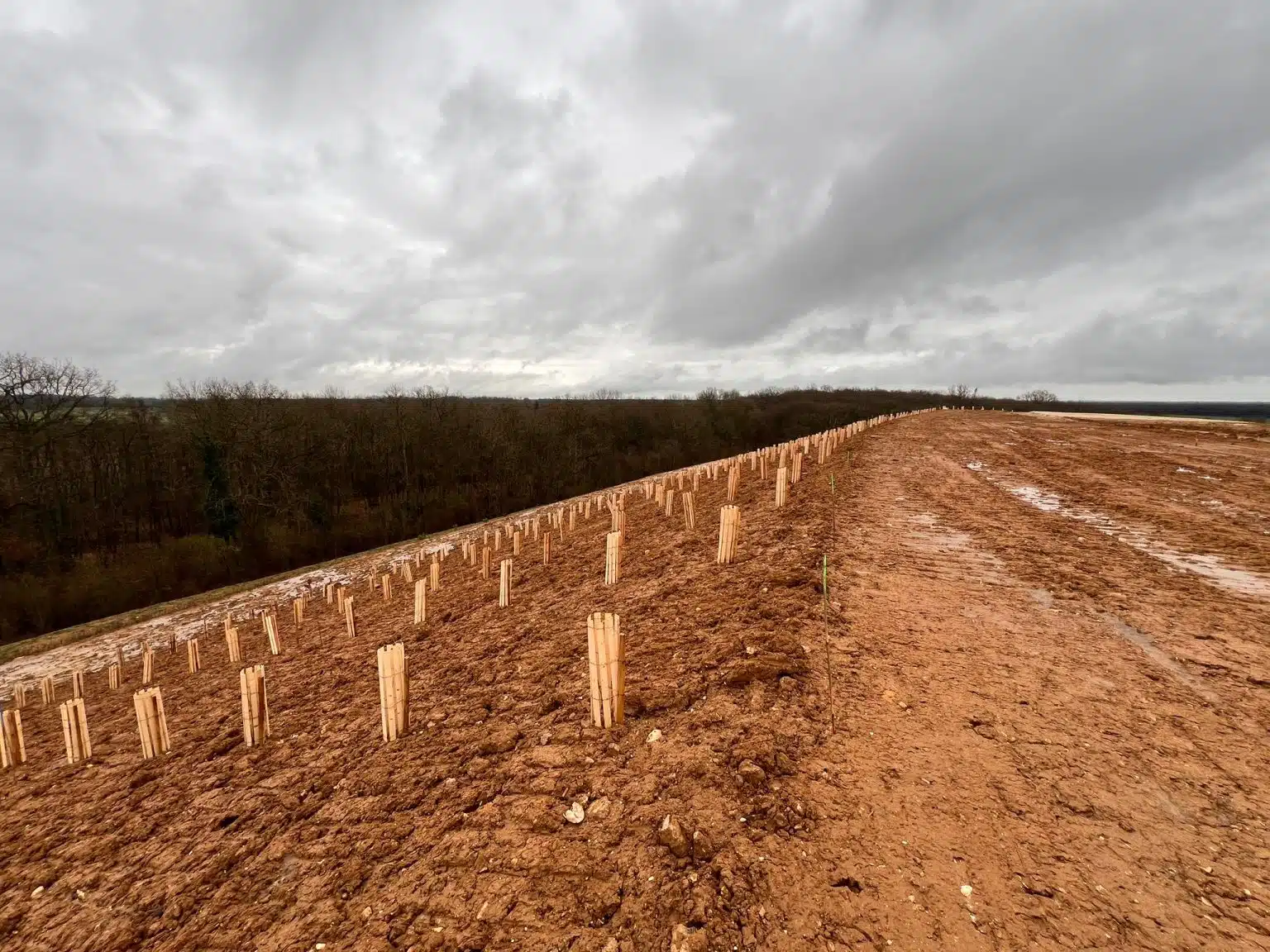 Vaux-le-Pénil - Végétalisation des talus