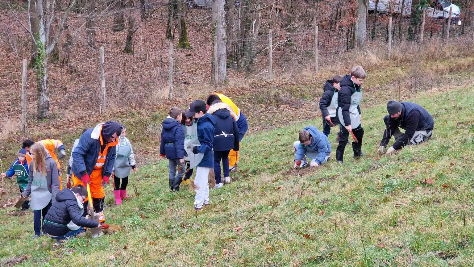 Plantations Plaisir Parc de la Mare aux Saules
