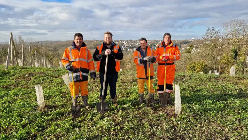 Saison plantation 2026