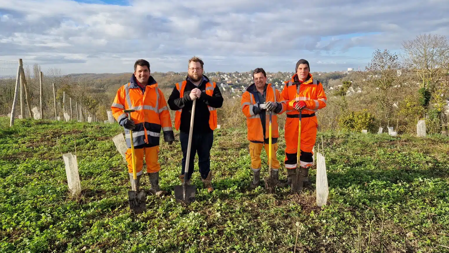 Saison plantation 2026