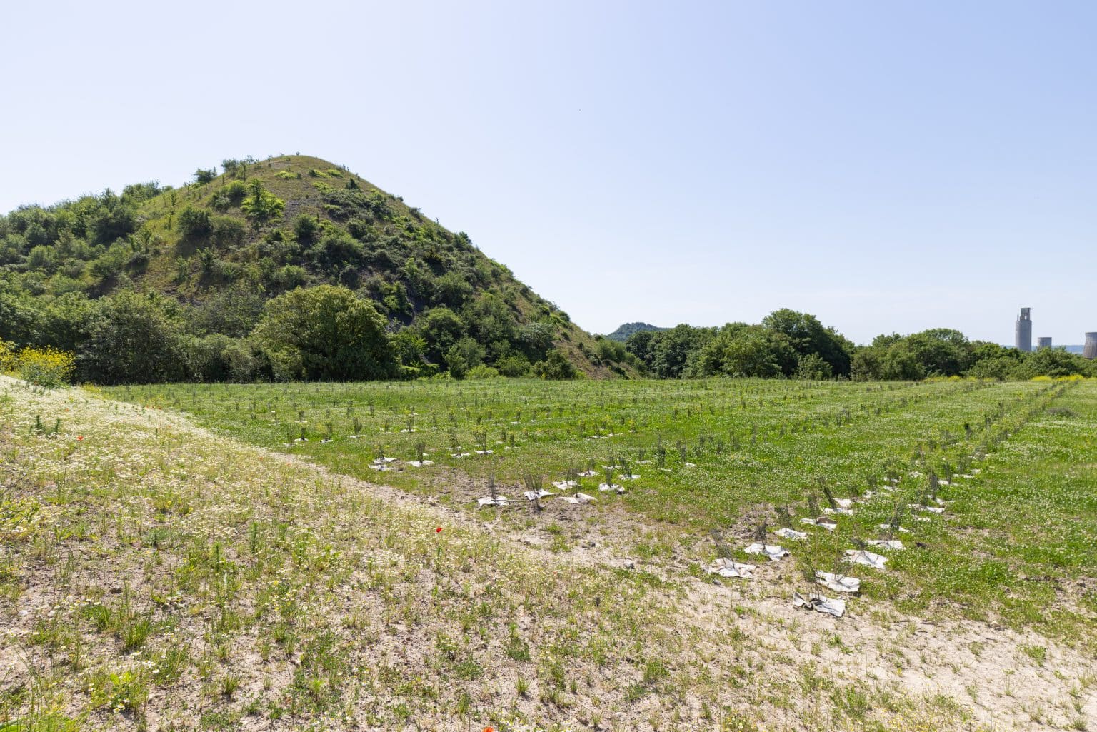 20260528 - Mazingarbe - Site en aménagement - Mai 2026 ©ACH PHOTOS (81)