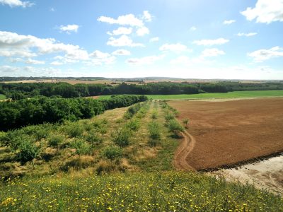 Site ECT Villeneuve-sous-Dammartin, partie biodiversité, les vergers