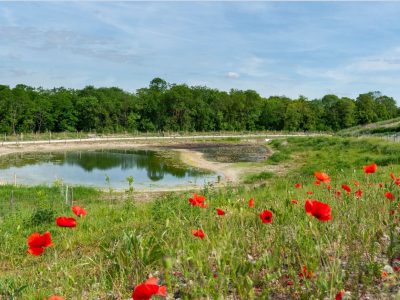Clichy-sous-Bois -photo 6