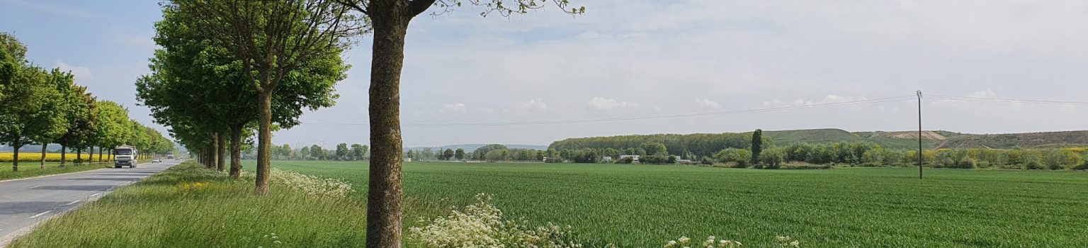 Vue du site ECT Villeneuve-sous-Dammartin, depuis la D401